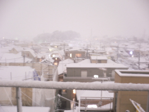 neve a tokyo1.JPG